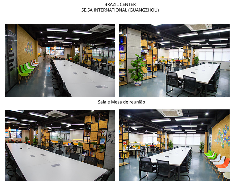 SESA 03.jpg