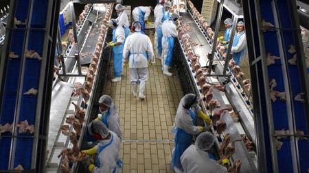 carne-de-frango-em-itatinga-sp-1595531496078_v2_900x506.jpg