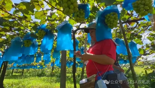 文章附图